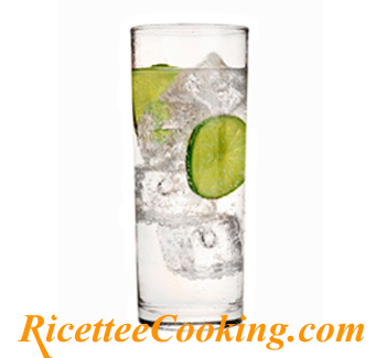 Cocktail Gin Tonic
